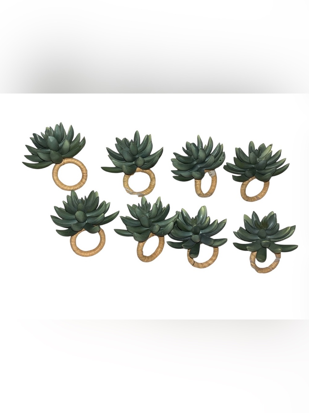 Pottery Barn Succulent green napkin rings set 8